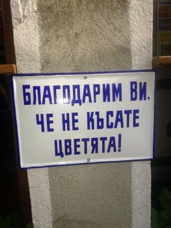 Благодарим ви, че не късате цветята