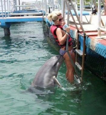 Делфин сваляч