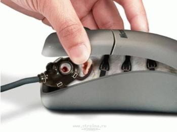 microsoft mouse