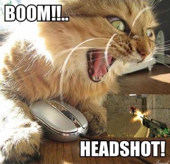 BooM! HEADSHOT!